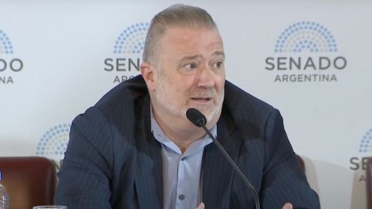 Gil Domínguez: “Cualquier persona o Estado extranjero pueden comprar toda la tierra rural donde quiera”