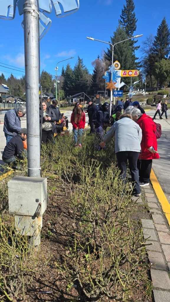 Exitosa jornada de capacitación en poda de rosas e intervención práctica en la avenida arrayanes.