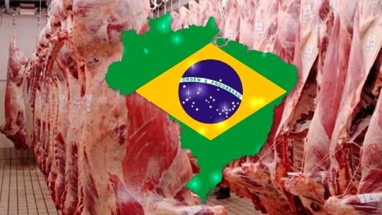 Golpe a la carne brasileña: la Unión Europea suspende las importaciones y despierta la tensión con el Mercosur Golpe a la carne brasileña: la Unión Europea suspende las importaciones y despierta la tensión con el Mercosur