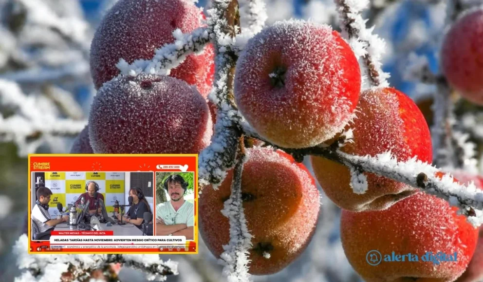 El frío amenaza a la fruta: cómo se prepara el Alto Valle para las heladas tardías