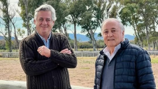 Carlos Odriozola se refirió a los resultados que decidieron la reelección de Nicolás Pino al frente de la Sociedad Rural Argentina Carlos Odriozola se refirió a los resultados que decidieron la reelección de Nicolás Pino al frente de la Sociedad Rural Argentina