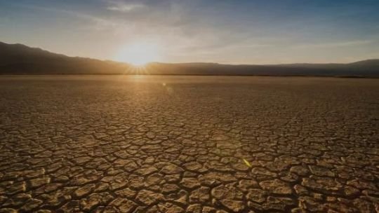 La ONU reveló que combatir el cambio climático y la contaminación rinde 15 dólares por cada uno invertido