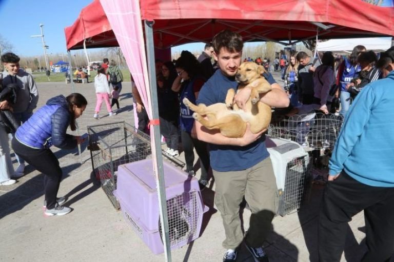 En el mes aniversario, Neuquén suma dos grandes jornadas dedicadas al bienestar animal