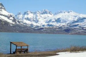 Epu Lauquen, un refugio de bosques únicos y fauna de los Andes neuquinos