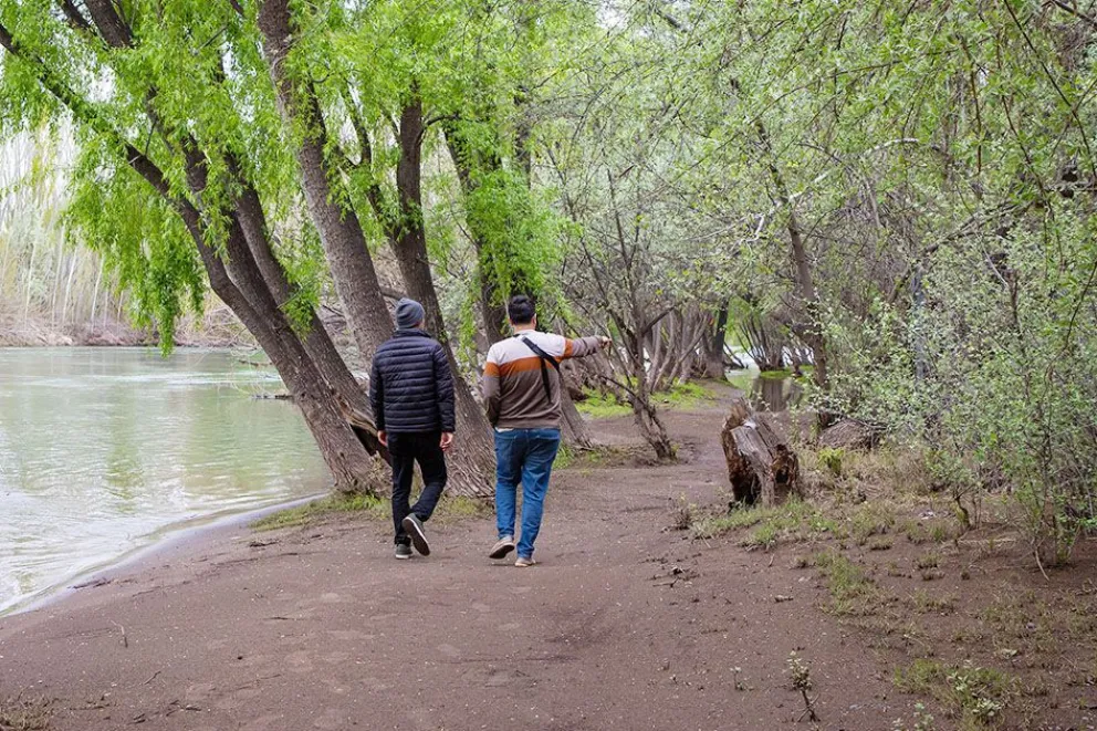 Primavera a orillas del río Neuquén: un paseo por el verde del Parque Agreste