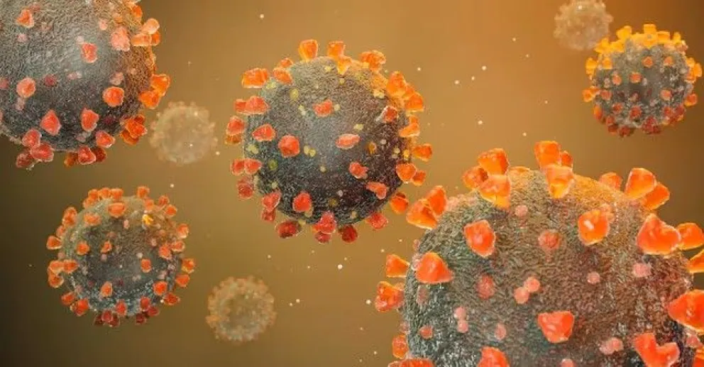 El herpes zóster, un factor de riesgo cardiovascular no tan conocido