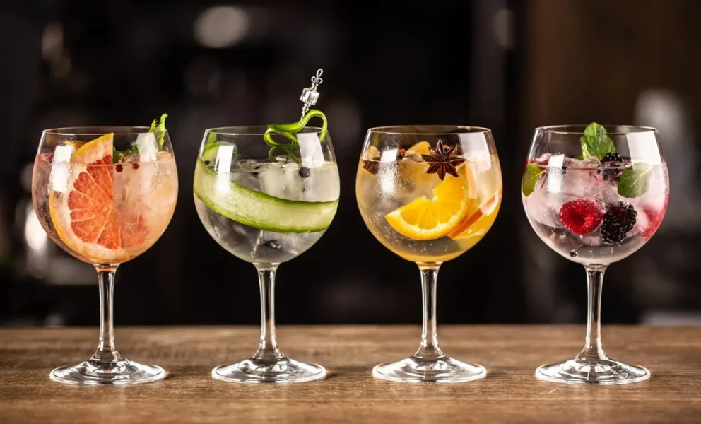 Neuquén se prepara para vivir una nueva edición del Festival del Gin