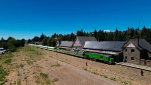 Tren Patagónico: cuánto cuestan los pasajes para noviembre y diciembre