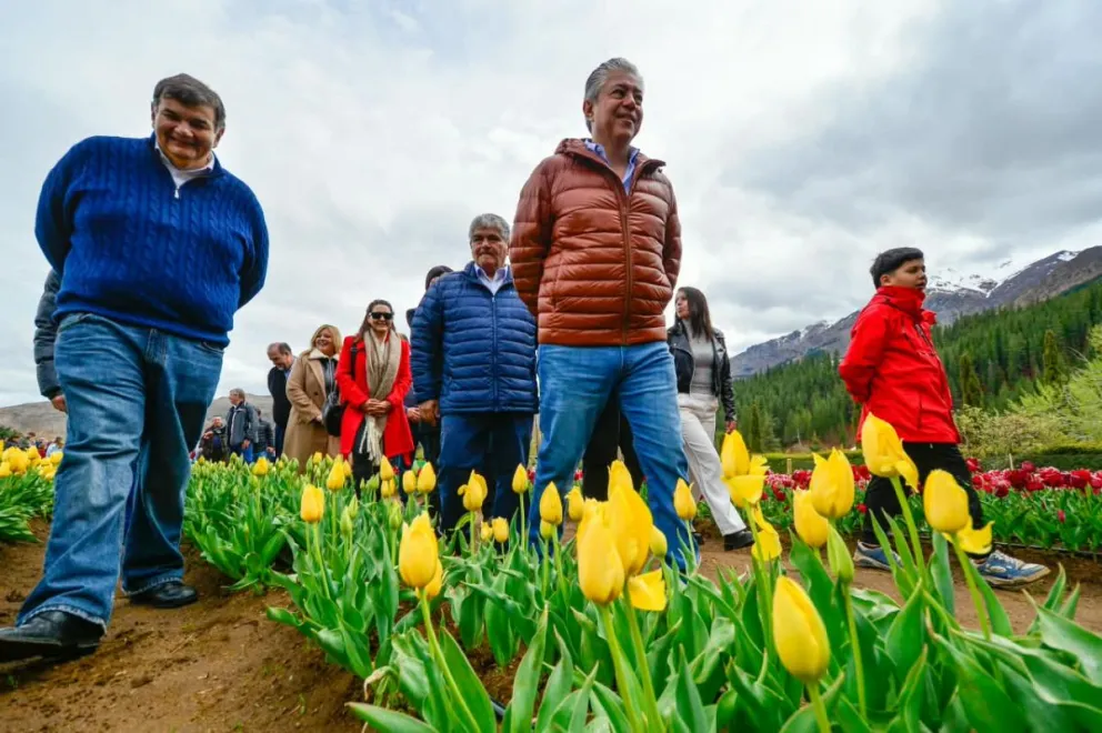 Figueroa: “En 2027 vamos tener 200.000 tulipanes en Huinganco”
