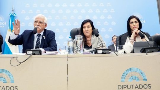 Malvinas: ONG reclaman ser escuchadas en Diputados