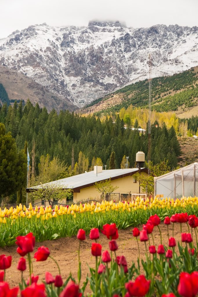 Primavera en el Norte Neuquino: una temporada para descubrir paisajes, sabores y experiencias únicas