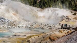 Descubren una ameba que soporta temperaturas de 70 °C y rompe un límite de la vida compleja