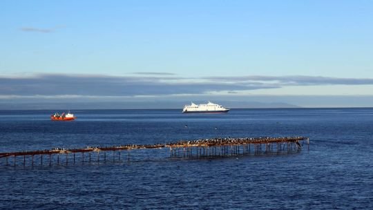 Tráfico por estrecho de Magallanes sube más de 70% ante restricciones en Canal de Panamá