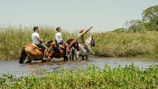 Fin de semana largo: Corrientes alcanzó un 72 % de ocupación hotelera impulsada por el ecoturismo y la pesca