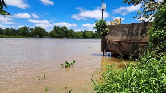 Crecida del Paraná en Chaco: alertan por caminos anegados y recomiendan retirar el ganado