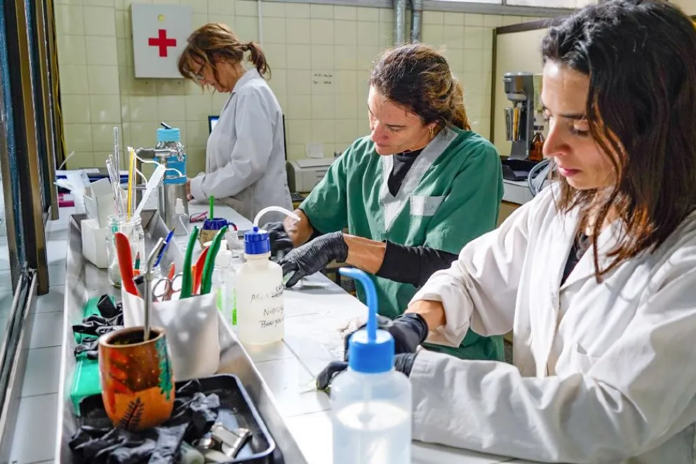 El Lasaf participa del programa nacional que evalúa la calidad de los análisis de suelos