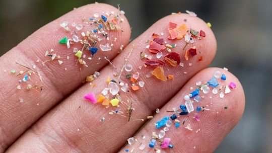 Microplásticos en el fin del mundo: fueron hallados en las playas de una isla de la Antártida
