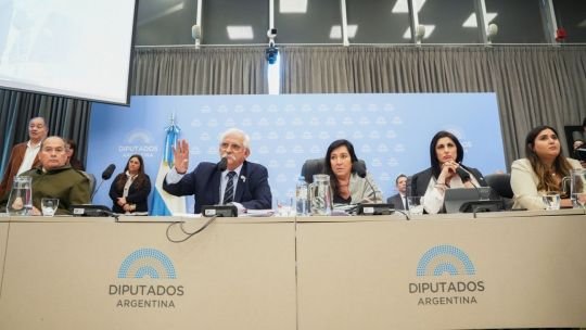 Insultos, forcejeos y un corte abrupto: así naufragó el primer debate de la Ley Malvinas en Diputados